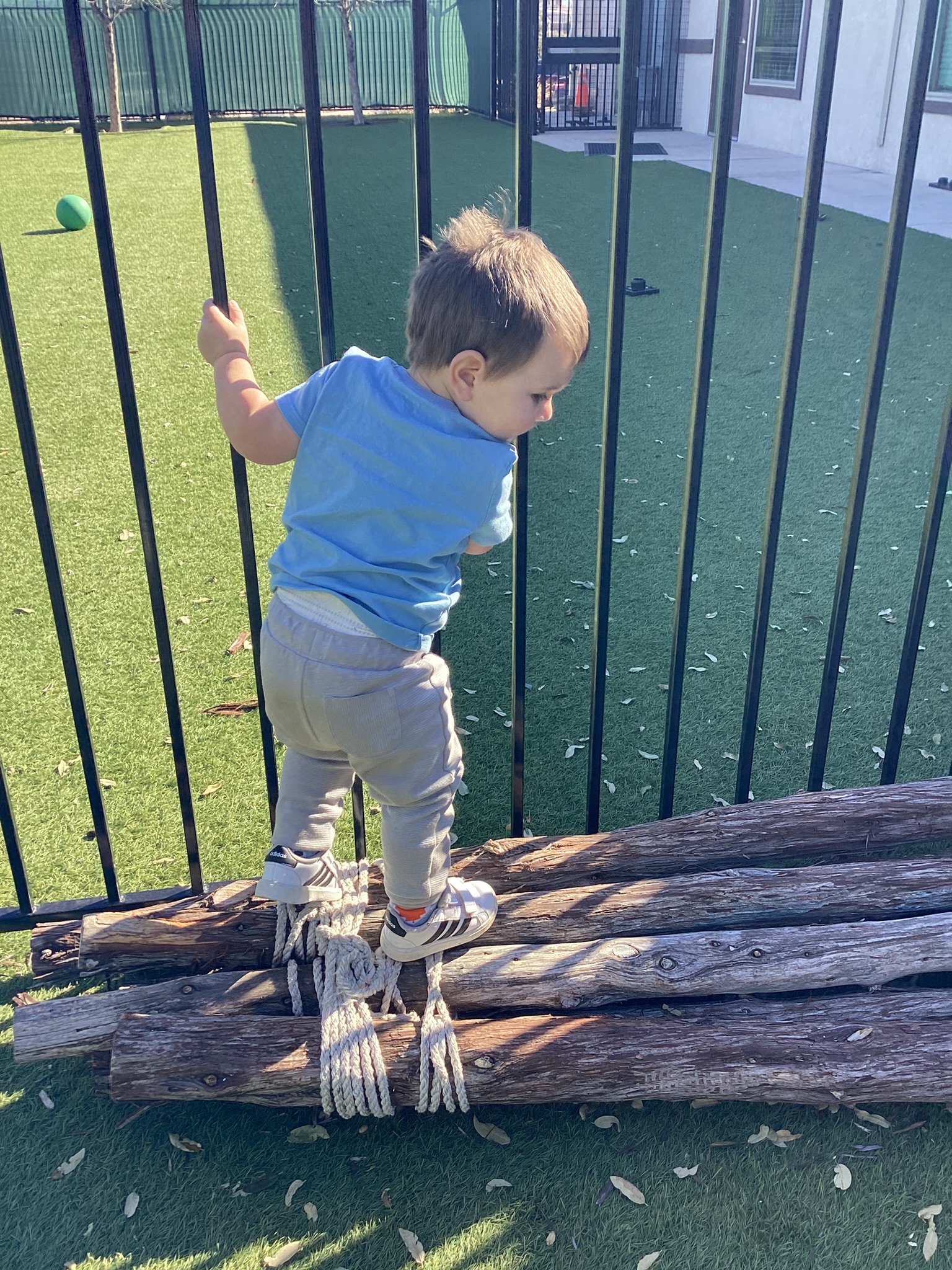 Is Shallow Hal Too Risky For Your Child? Our Honest Review - onla08w