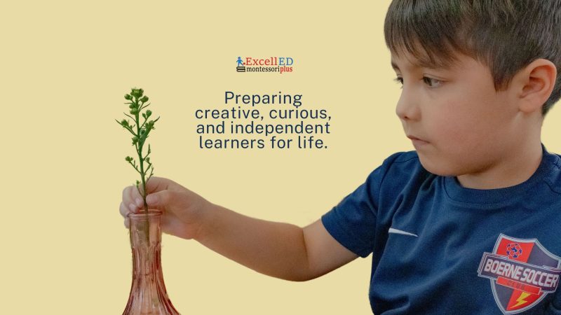 excelled montessori tuition