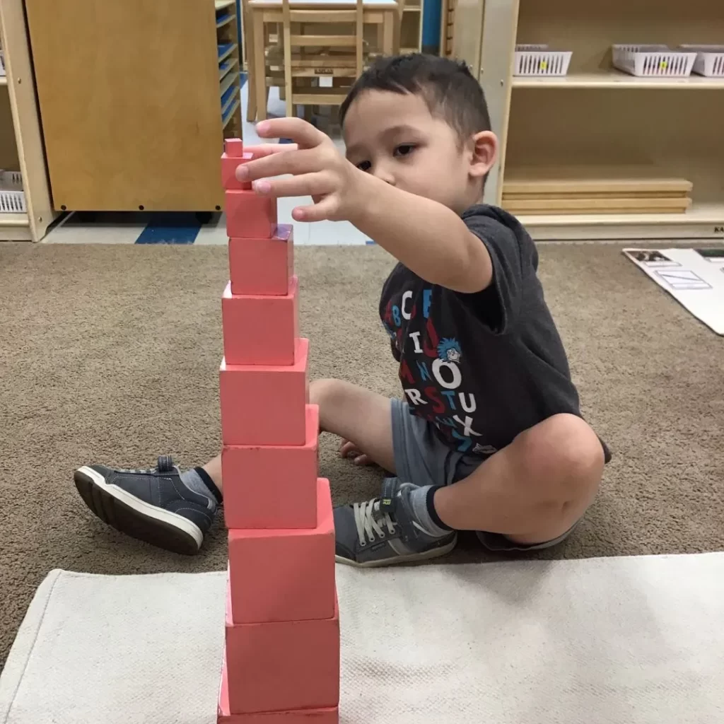 excelled montessori pink tower