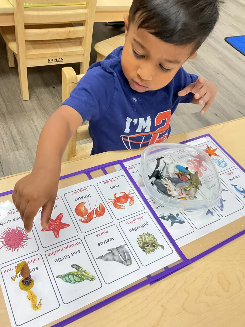 motor skills excelled montessori
