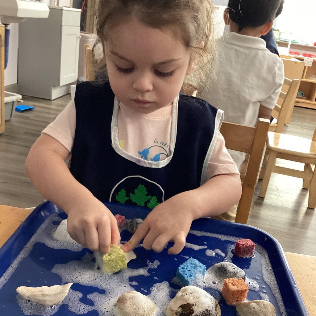excelled montessori practical life activities for toddlers