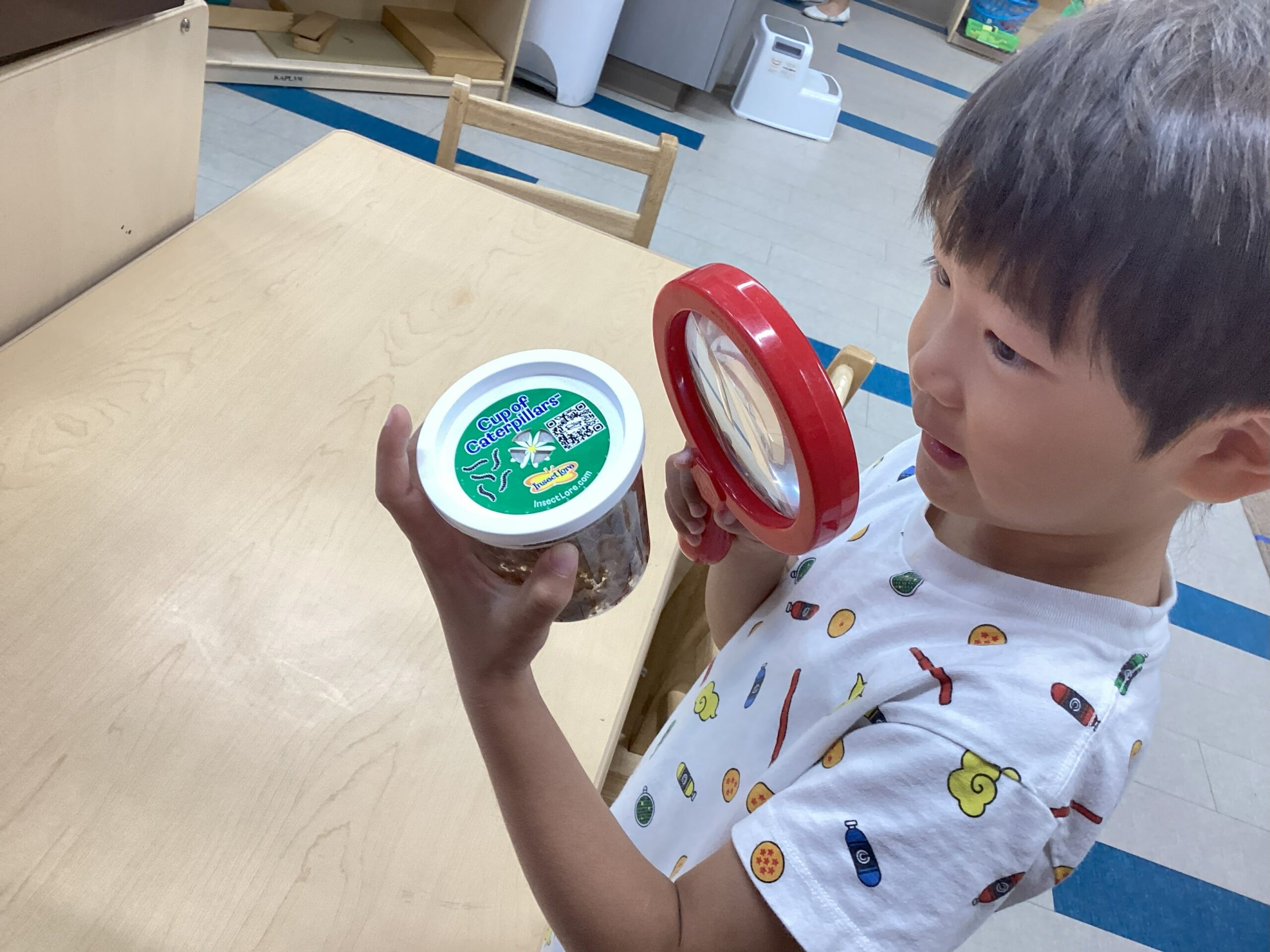 Preschool child exploring nature in a Montessori classroom.